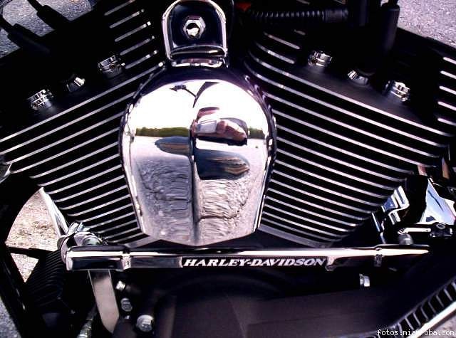 M Harley Davidson NEW OEM gear shift linkage cover Touring