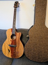 Luna Vista Eagle Gitarre 6 Saiten