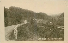 C1910 Lansingkill Gorge New York roadside Postcard 25-9102