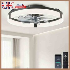 Ceiling Fans with Lights And Remote, 50cm LED Ceiling Fan Light