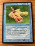 Magic the Gathering MTG Arabian Nights Fishliver Oil Dark MP  (Beta Bob)