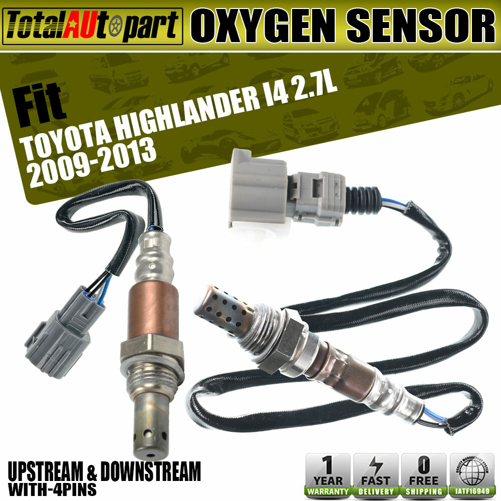 新品未使用！42ND  HIGHLAND transfer EU39 CATEGORY ◇42ND ROYAL HIGHLAND transfer | 42ND R
