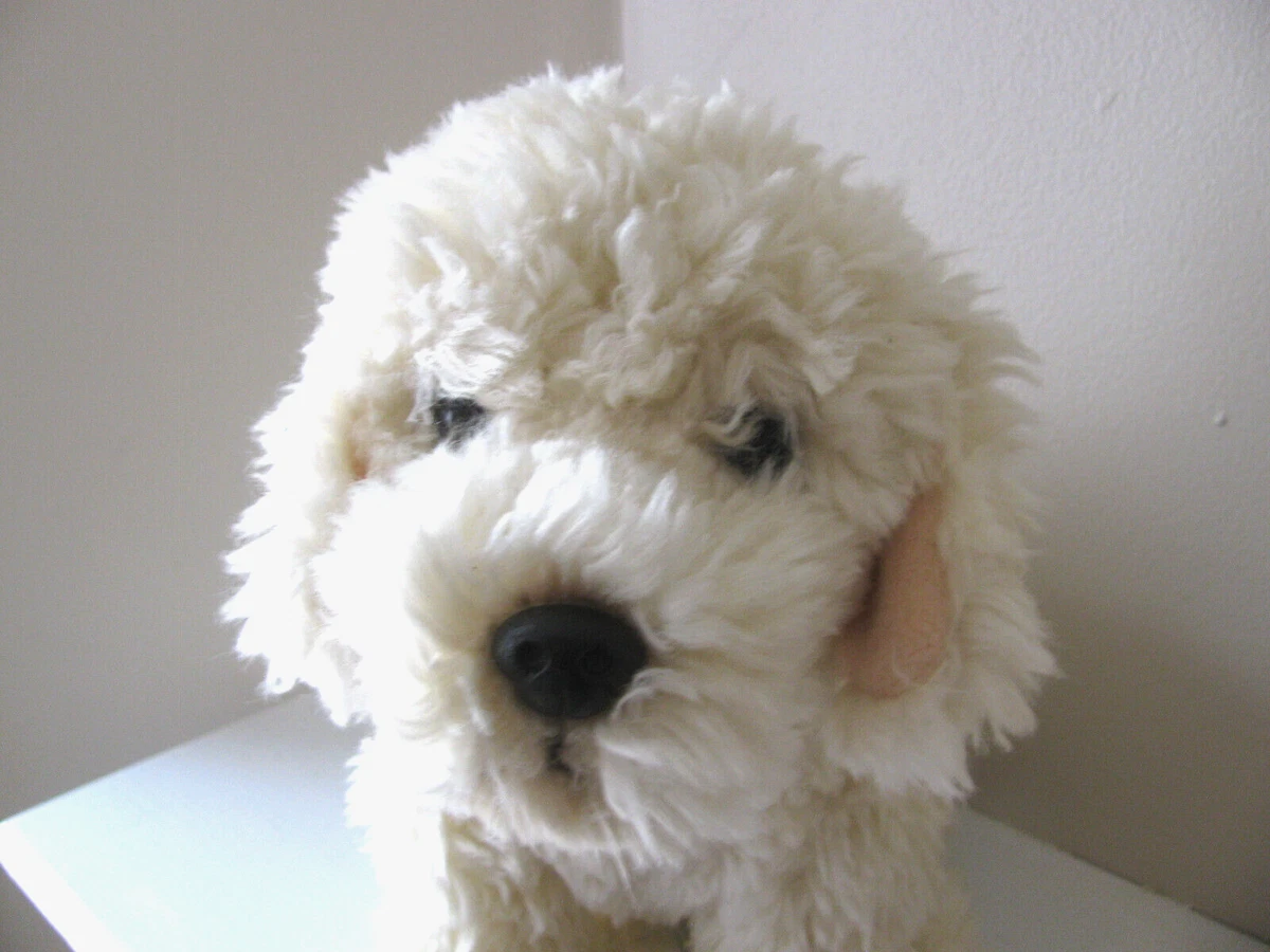 Webkinz Labradoodle Labradoodle Pup Labradoodle Dog Webkinz Signature Labradoodle