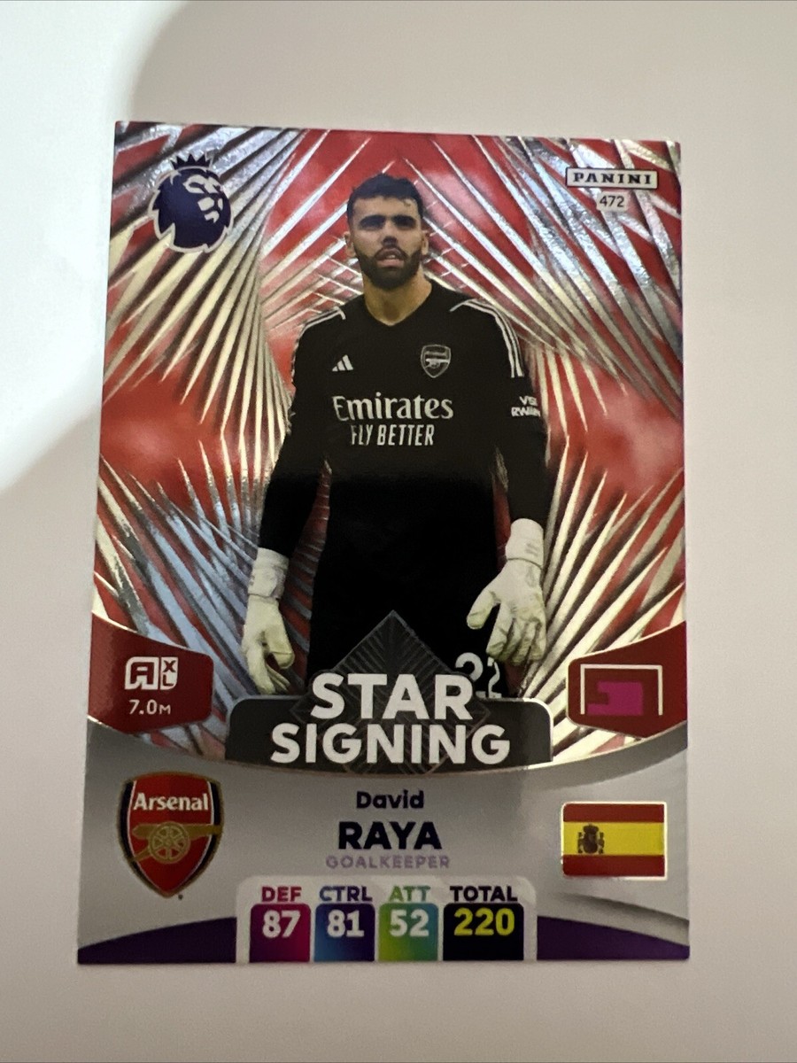 David Raya Epl Golden Glove Contenders David Raya STAR