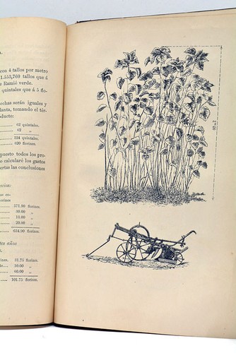 Culture et l'utilisation de la ramie dans l'industrie textile Mexico 1886 - Picture 12 of 12