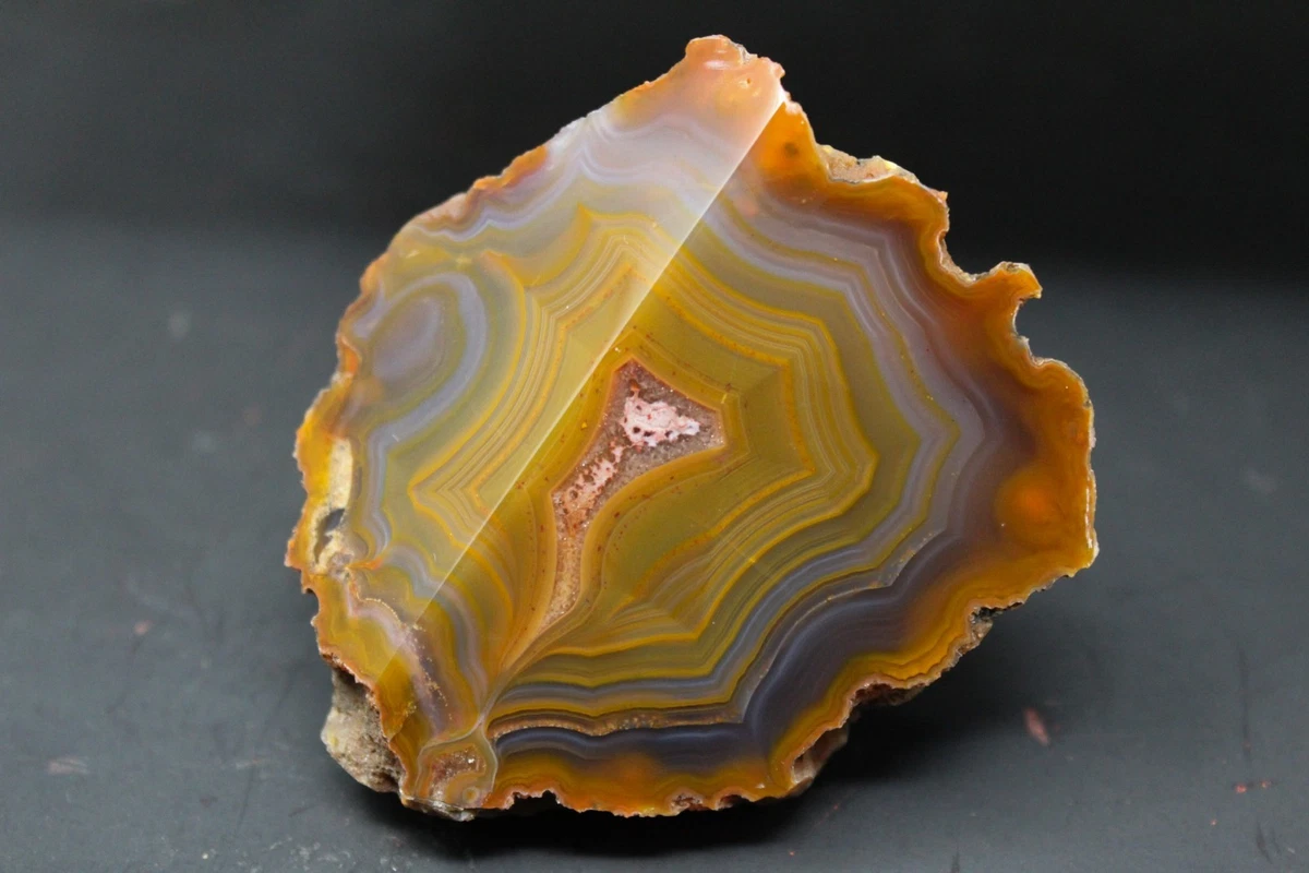 Condor Agate for sale | eBay
