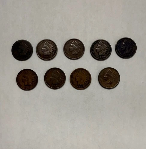 Indian Head Penny Lot of 9 1878-1907