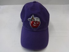 Vintage '47 Twins MiLB Fort Wayne Tincaps Youth Adj Strap OSFA Ballcap Minors