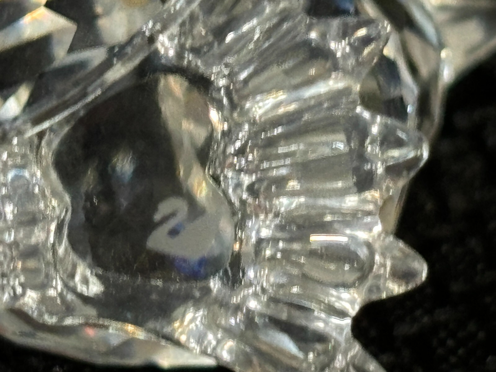 Picture 7 of 8