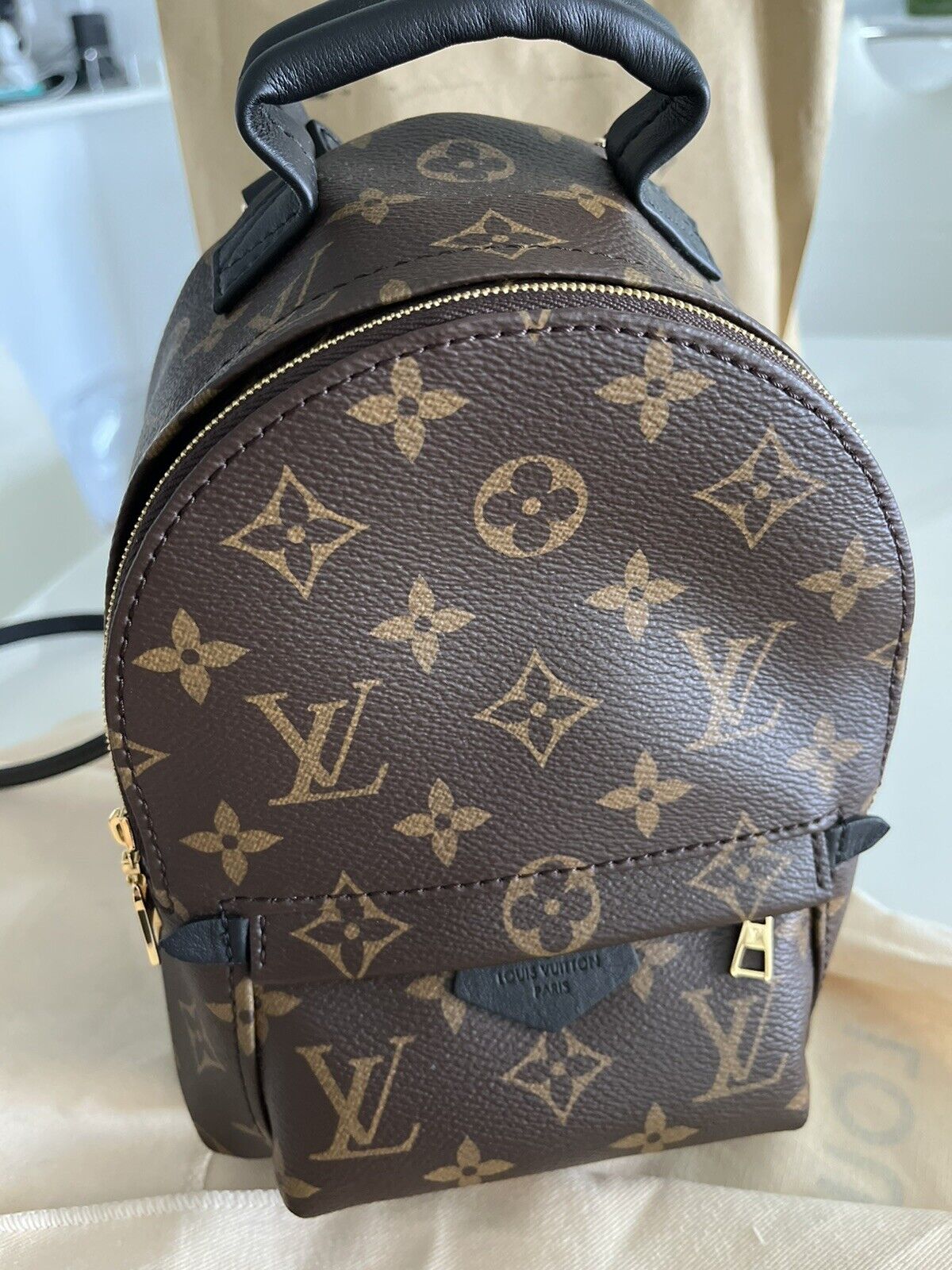 Louis Vuitton, Palm Springs Backpack