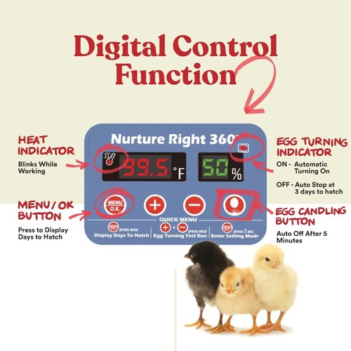 User-Friendly Egg Incubator for 12-22 Eggs – Humidity Control & Induced Airflow - Picture 6 of 11