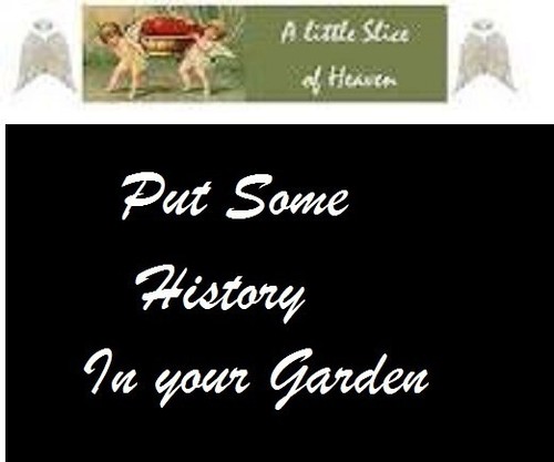 20 Cuostralee Heirloom Tomato Seeds" Plus 2 Packs of Vegetable Seeds - Picture 2 of 3