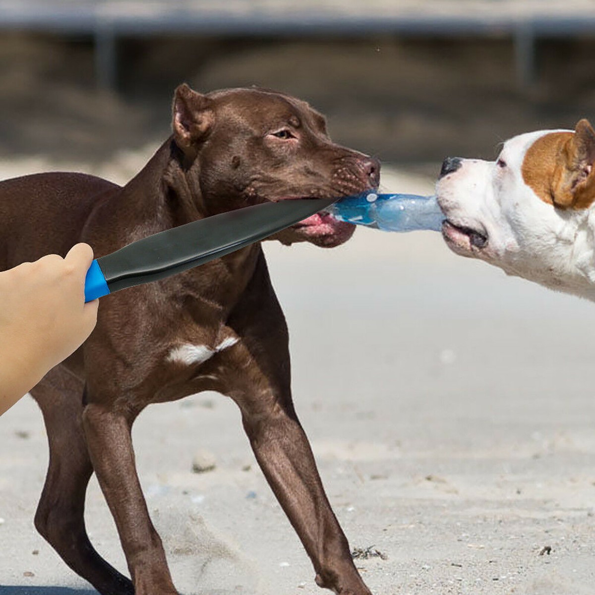 Beißkeil Für Hunde - Trainingsstick Für Starke Hunde (2 Stück, Blau)