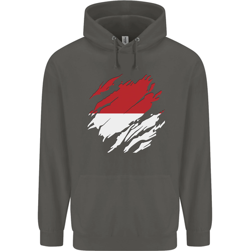 Torn Indonesia Flag Indonesian Day Football Childrens Kids Hoodie - Picture 39 of 76