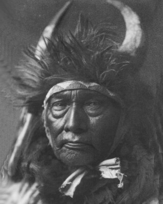 bull chief apsaroke American Indian 8 x 10 Photo vintage taken in 1800s