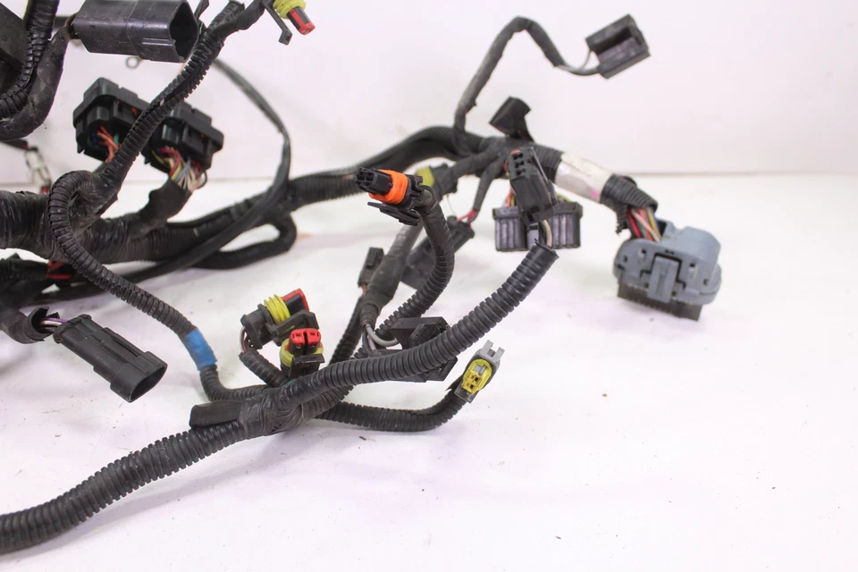 Ski-Doo Summit X 800 2012 e-tec arnés de cables/cableado Foto 3 de 4