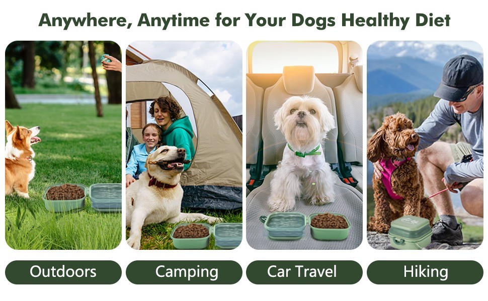 Collapsible Dog Bowls, Travel Food and Water Bowl with Lid for Cats and Dogs (S)