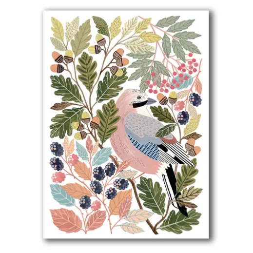Jay - Fine Art Blank Greeting / Birthday Card - British Birds Berries Acorns