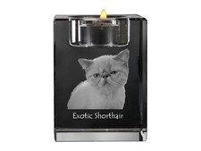 Exotic short Hair - Candle Holder With Katzenfoto, Tea Light From Crystal, Pe