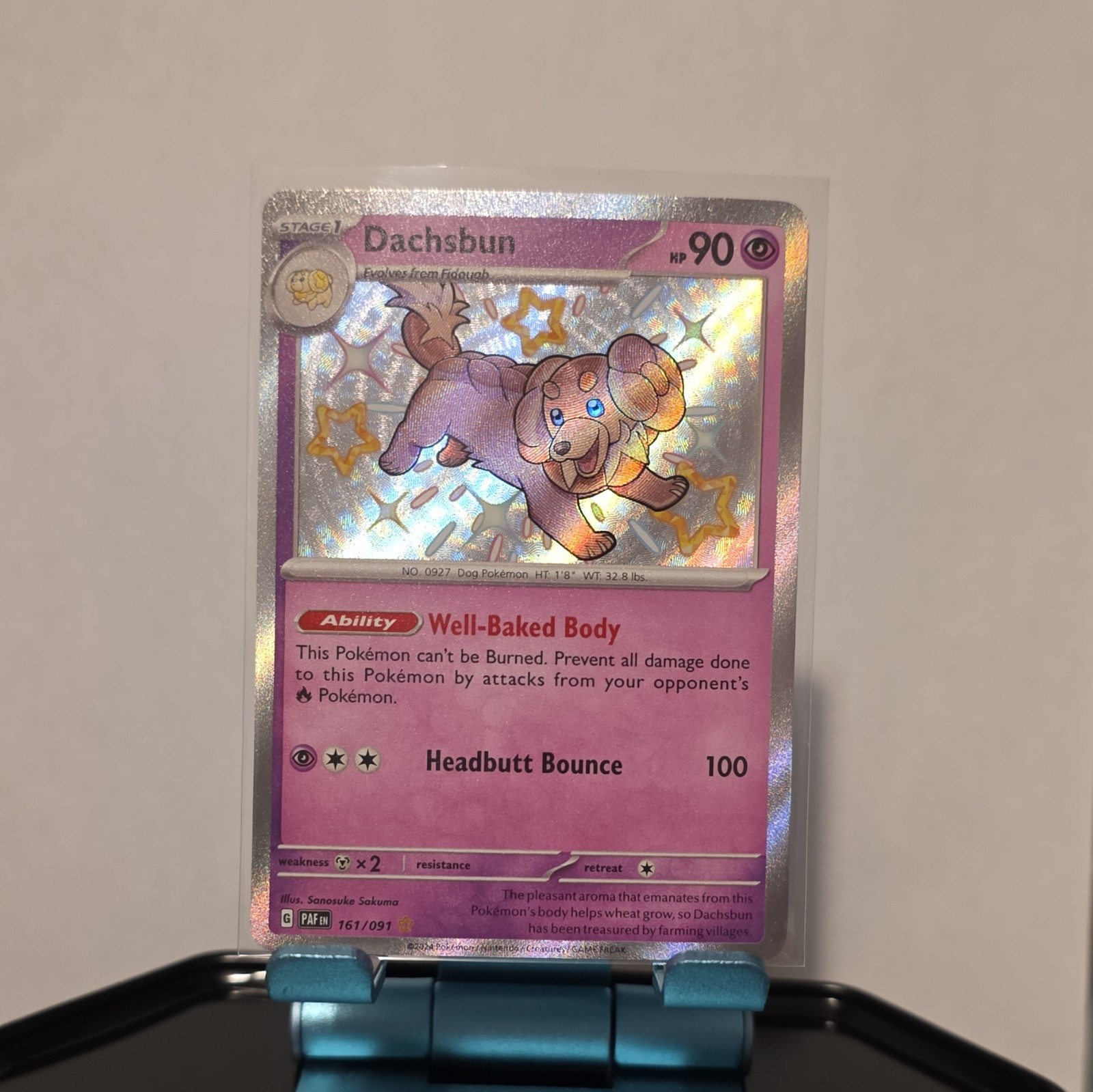 Dachsbun 161/091 SV: Paldean Fates (PAF) English