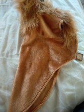 Dog Lion Jacket Pet Costume