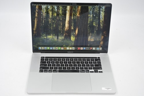 Apple MacBook Pro 16,1 A2141 Intel Core i7-9750H 32GB RAM 500GB SSD #2571