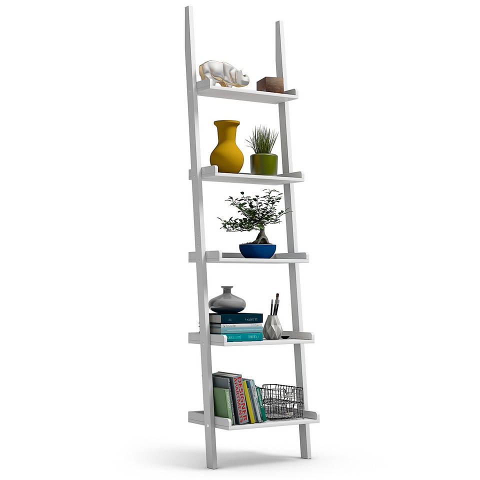 bambus jumbo pflege Bambus Jumbo (Fargesia murieliae 'Jumbo') | 150-175 cm im Topf