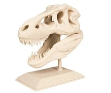 T-Rex Skull Replica Dinosaur Tyrannosaurus Head 3D Printed White