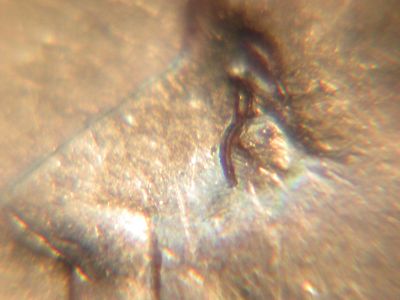 1991 P Roosevelt Dime with Obverse Machine Doubling Error
