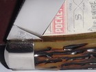 SCHATT & MORGAN USA 4113L GROOVED BONE TRAPPER KNIFE WITH BOX. NEVER USED. — photo 6
