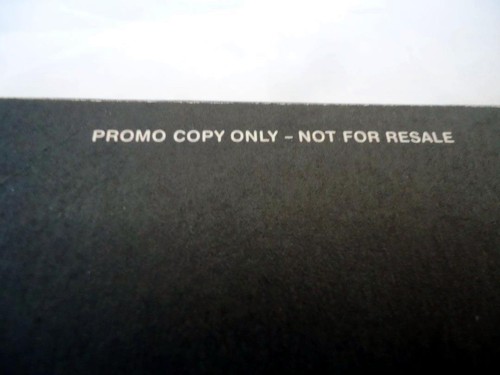 BRUISES UNPLAYED PROMO CD LIVE DEMO "PETTY CRIME / SHE+ME=US" 2008 UNPUBLISHED - Imagen 2 de 3