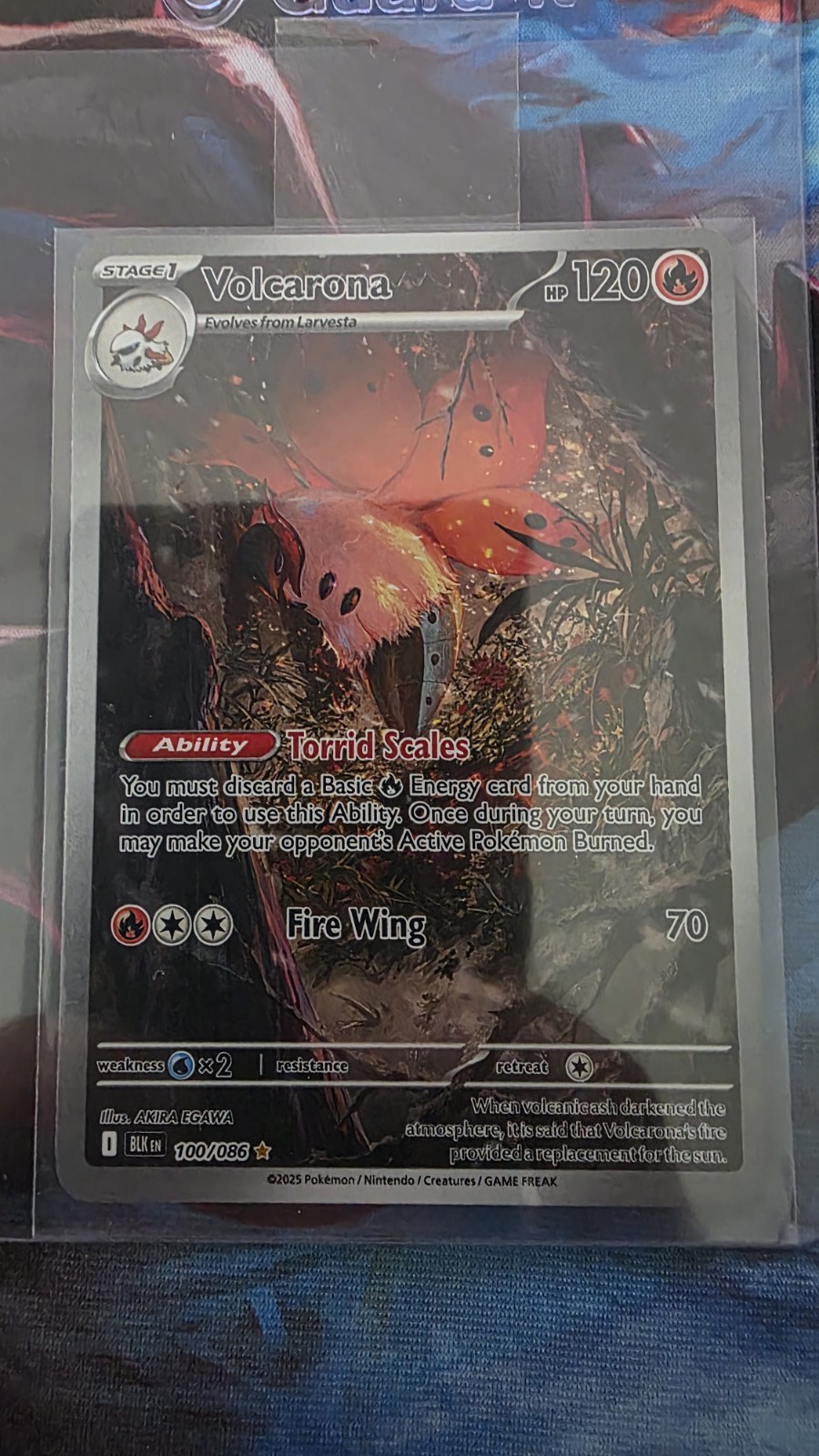 Volcarona 100/086 Sv: Black Bolt Holo