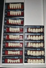 Ivoclar Vivadent Orthotyp S DCL Teeth