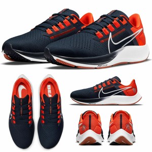 nike pegasus bears