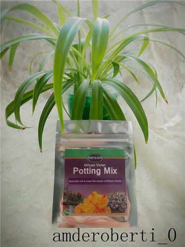 african violet potting mix evergreen outdoor fertilizer