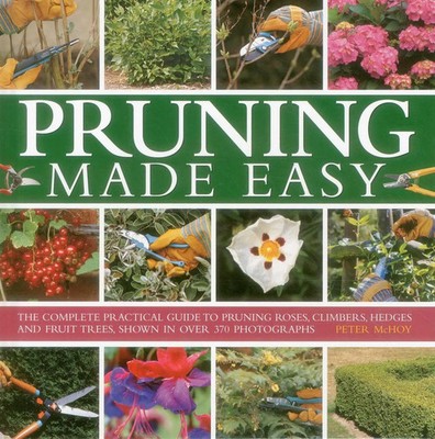 Pruning Made Easy | Mchoy Peter | Englisch | Buch | Gebunden | 2014