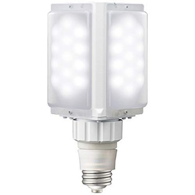 Iwasaki Electric Led Light Bulb S79W Lamp (Daylight White) Ldfs79N-G-E39D_