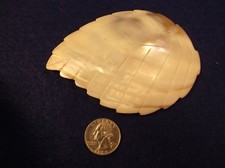 BEAUTIFUL LARGER VTG MENS BELT BUCKLE - WHITE MOTHER OF PEARL MOP LEAF KOREA 