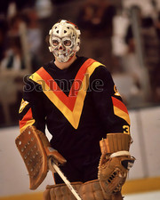 Vancouver Canucks Goalie Gary Bromley Color 8 X 10 Photo Picture