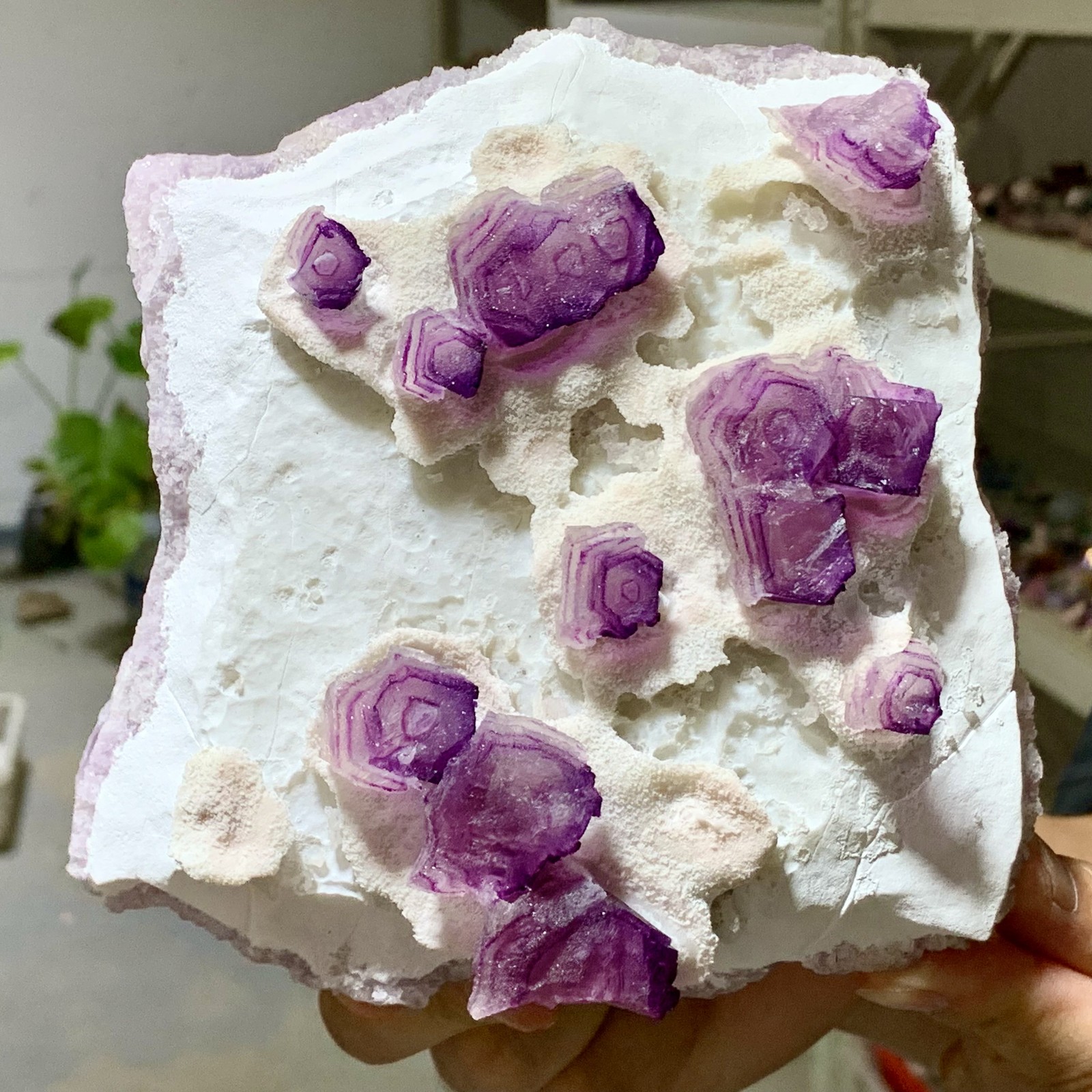 2.9LB Rare Purple Hexagon Cubic Fluorite Crystal Specimen from Zhejiang China