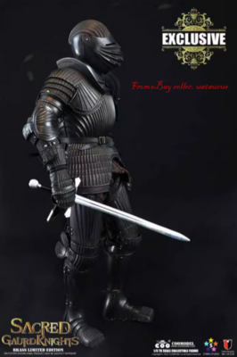 Perfect Coomodel Se119 Sacret Guard Knight Brass Limited Edition 1