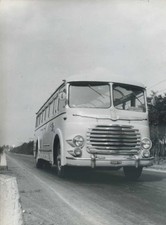 FOTOGRAFIA ORIGINALE D'EPOCA AUTOBUS FIAT (A19)