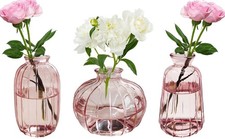 3pcs Vasi vetro decorativi Piccolo vaso per la decorazione da tavolo per fiori
