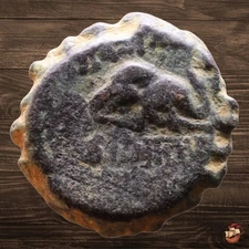 Ancient Greek coin - Seleucid Empire - Demetrios I - Serrate Elephant @U1158