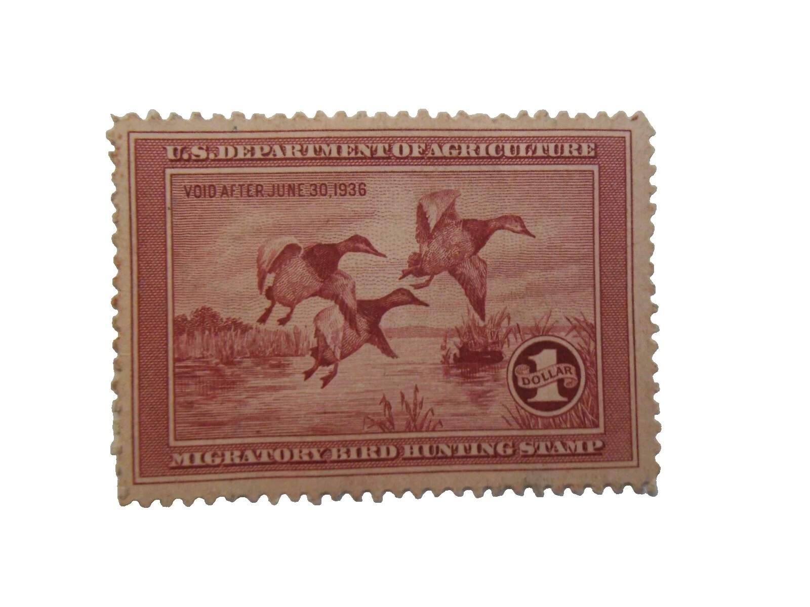 XF/S (Extremely Fine/Superb) Ducks United States Stamps