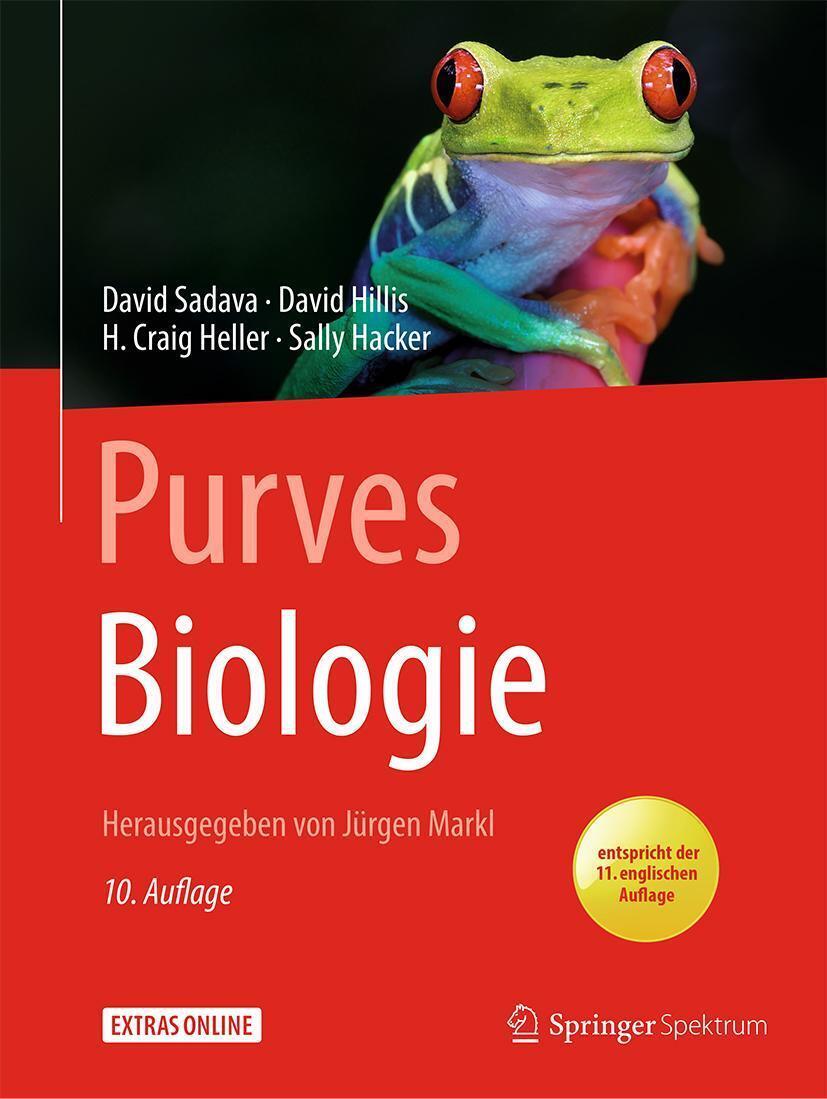 Thumbnail - Purves Biologie | David Sadava (u. A.) | Taschenbuch | Book + Ebook |