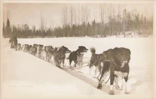 ALASKA Photographer Otto Schallerer DOG SLED & the Spirit of Seward & Ketchikan!