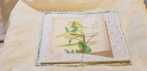Junk Journal Notebook Handmade Book Sewn Ready To Decorate -Green -Aust - Picture 12 of 17