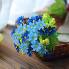 Bild 12 von 15