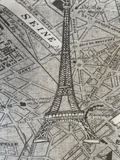 Eastern Accents Pair Of Paris Map Euro Pillow Covers.